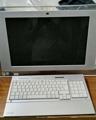 Monitor Sony Vaio