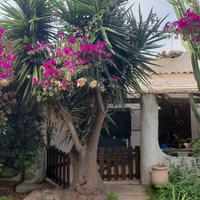 Villino a 50 mt dal mare La Maddalena Spiaggia Ca