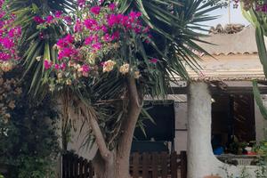 Villino a 50 mt dal mare La Maddalena Spiaggia Ca