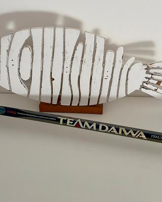 Canna bolognese Team Daiwa Italy Super Light 7m