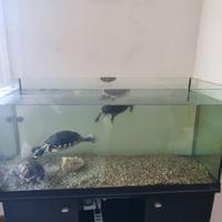Acquario Tank 110 da 230 litri
