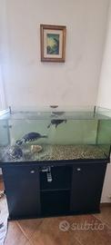 Acquario Tank 110 da 230 litri