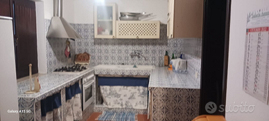 Casa e terreno a monte oro