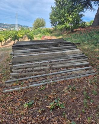 Pali di cemento triangolari e quadrati per vigneti