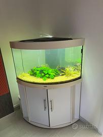 acquario juwell Trigon 190 angolare con mobile