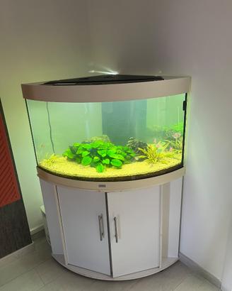 acquario juwell Trigon 190 angolare con mobile
