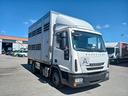 iveco-ml-80e22-trasporto-animali-vivi-c63-