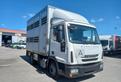 IVECO ML 80E22 - TRASPORTO ANIMALI VIVI (C63)