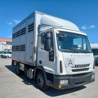 IVECO ML 80E22 - TRASPORTO ANIMALI VIVI (C63)