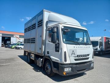 IVECO ML 80E22 - TRASPORTO ANIMALI VIVI (C63)