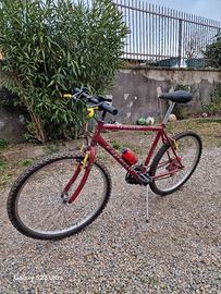 mtb uomo