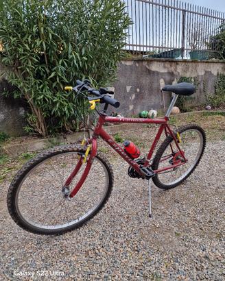 mtb uomo