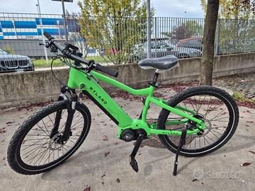 e-mtb junior 24