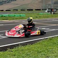 Birel art S14 (s15)