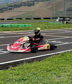 Birel art S14 (s15)