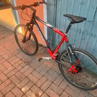 mountain bike olympia