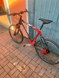 mountain bike olympia