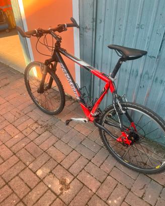 mountain bike olympia