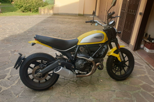 Scrambler 800 giallo