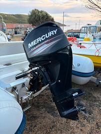 Mercury 40/60 orion