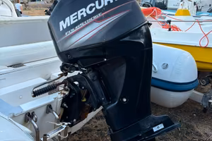 Mercury 40/60 orion