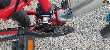 bici bio ammortizata 