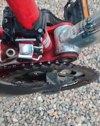 bici bio ammortizata 