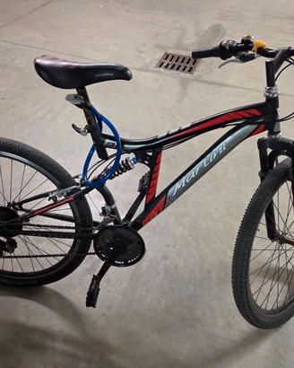 Bicicletta ragazzo 9-14 anni