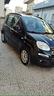 fiat-panda-1-2-benzina-connected-5-posti