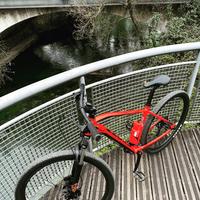 Scott aspect 960 taglia L raggio 19