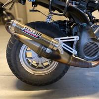 marmitta giannelli reverse