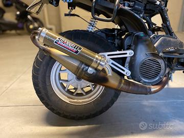 marmitta giannelli reverse