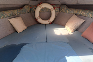 Semicabinato ranieri midnight sun, 150 cv mercury