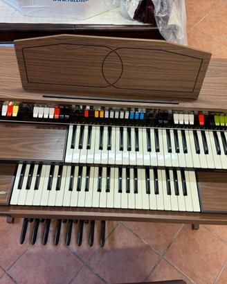 Organo Gem Wizard 329