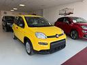 fiat-panda-1-0-firefly-s-s-hybrid-pandina