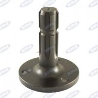 Presa di forza 00136 ama