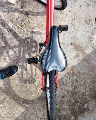 Bici 