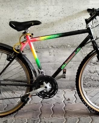 Bici Mountainbike
