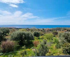 Casa vacanza a marina di camerota