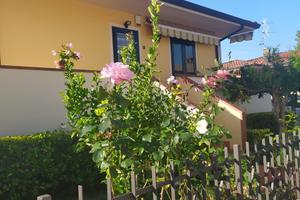 Privato vende luminosa villetta singola a Quiesa