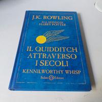 Harry Potter il quidditch attraverso i secoli