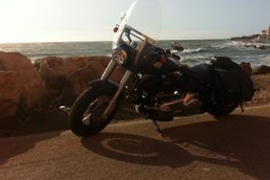 Softail Slim