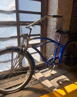 Bicicletta dyno cruiser/dyno glide