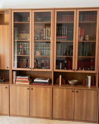 Grande Parete Attrezzata / Libreria in Legno con V