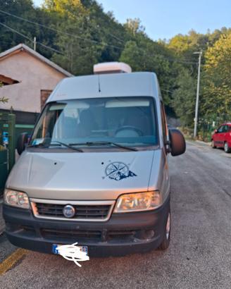 camper furgonato
