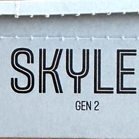 Occhiali da Sole Ray-Ban META Skyler GEN 2 Shiny