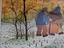 Immagine 2