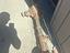 Immagine 1