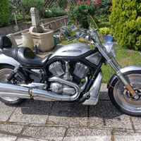 Vendita Harley Davidson V.ROD