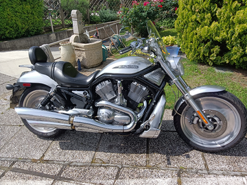 Vendita Harley Davidson V.ROD